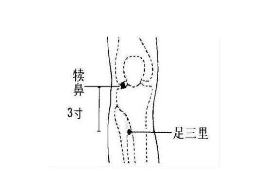 按摩膝关节经络图图片