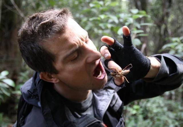 原创贝爷曾服役的特种部队有多厉害看了猎人行动你就明白了