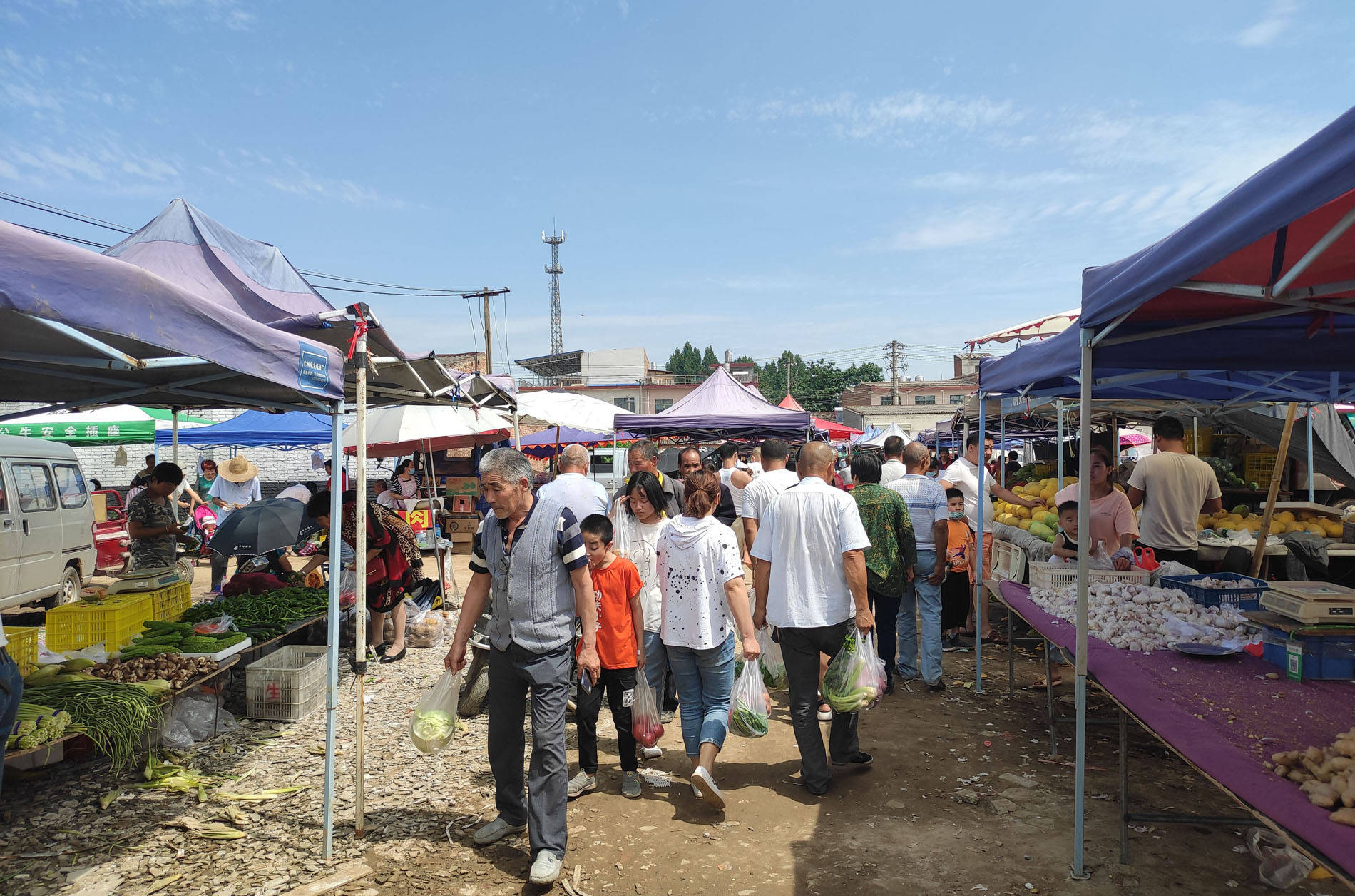 随着西安城市化建设和城中村的不断消失,城市周边的集市慢慢消失,赶大