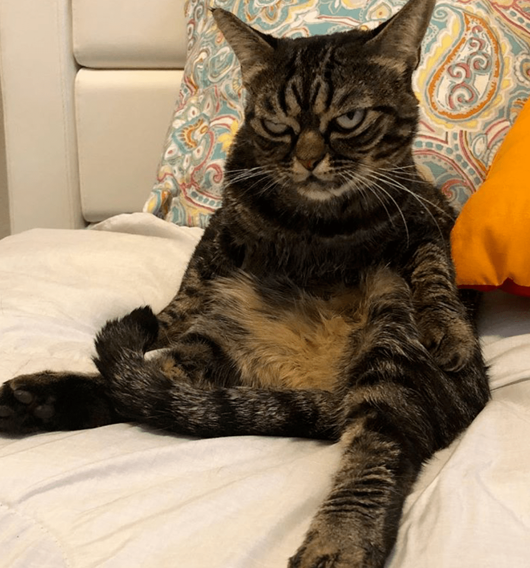 " 莫非……这货上辈子是位黑社会大佬,没人敢惹的那种?