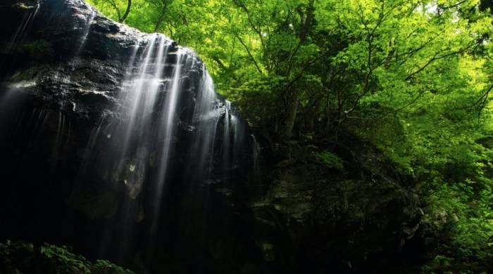 今年央视315晚会除了曝光消费陷阱，还点明小家电的新商机！-家电圈官网