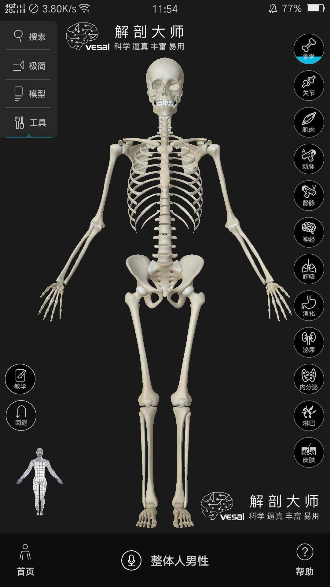 3d人體解剖圖高清支持iosandroidpadwinmac