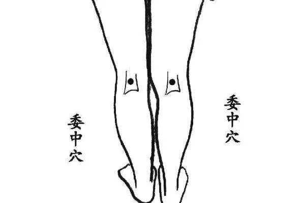 腰肌劳损怎么办?中医骨科张建福:3大治疗腰痛的穴位