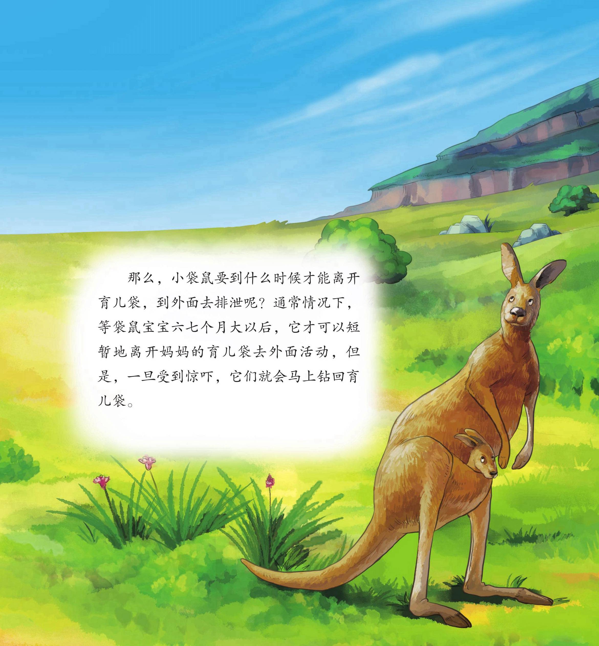 儿童绘本故事推荐《动物园里怪事多上》