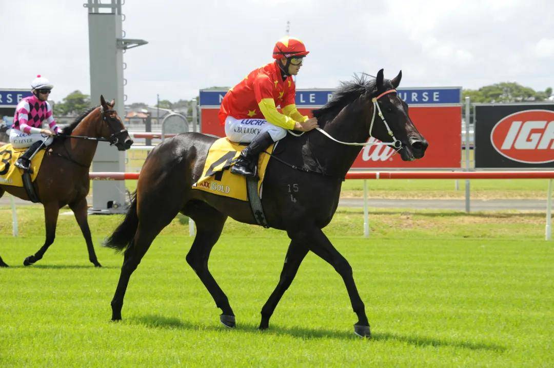 大陆赛马网:1600米全程领放潇洒夺冠!