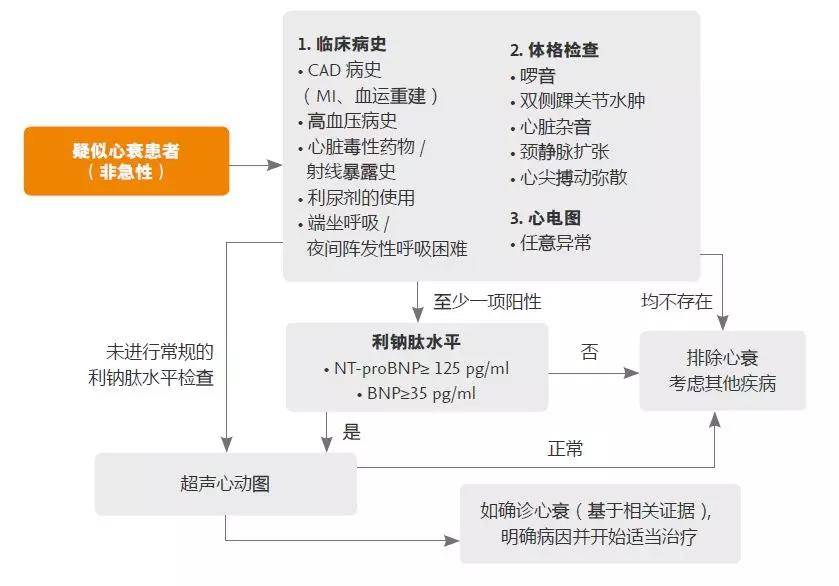 原创三板斧 金三角?心衰治疗不简单!
