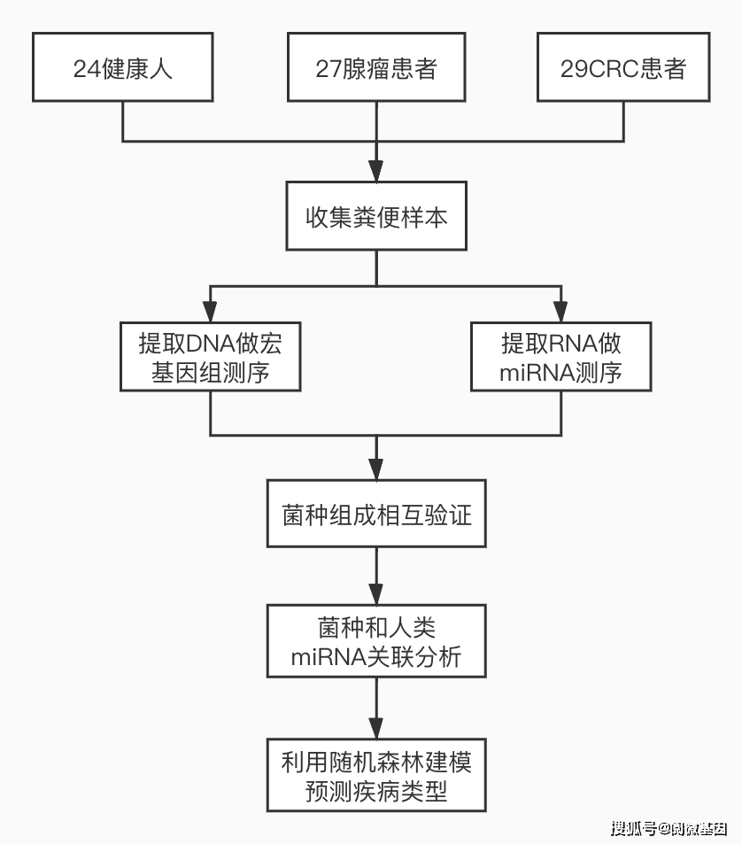 實驗設計流程圖