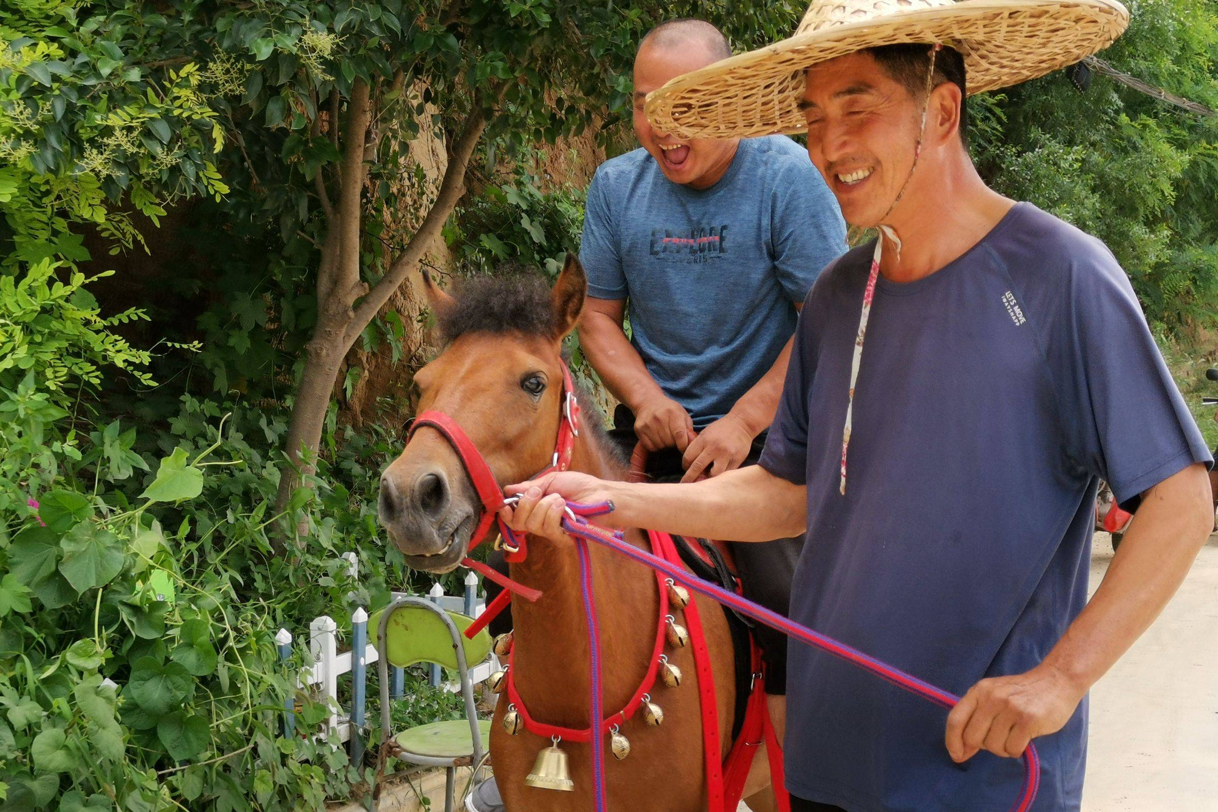 河南农民大哥养小矮马驮游客人重马轻看小马累成啥样