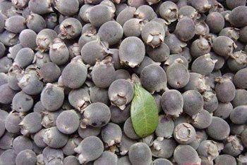 如今在农村很难见到的4种野果,00后几乎没吃过,全吃过的人厉害_捻子