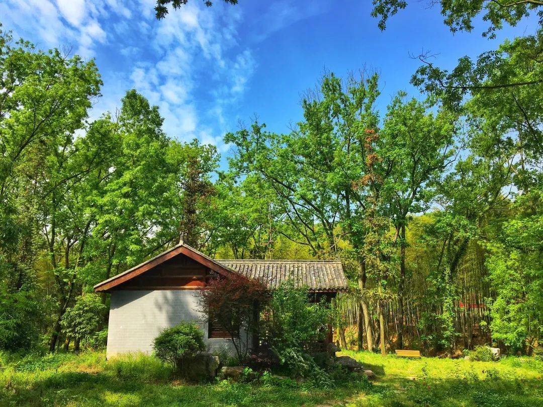 花溪蝶谷位于竹林禅境南侧,面积约3公顷,草坪,花海,竹楼,溪谷相映成趣