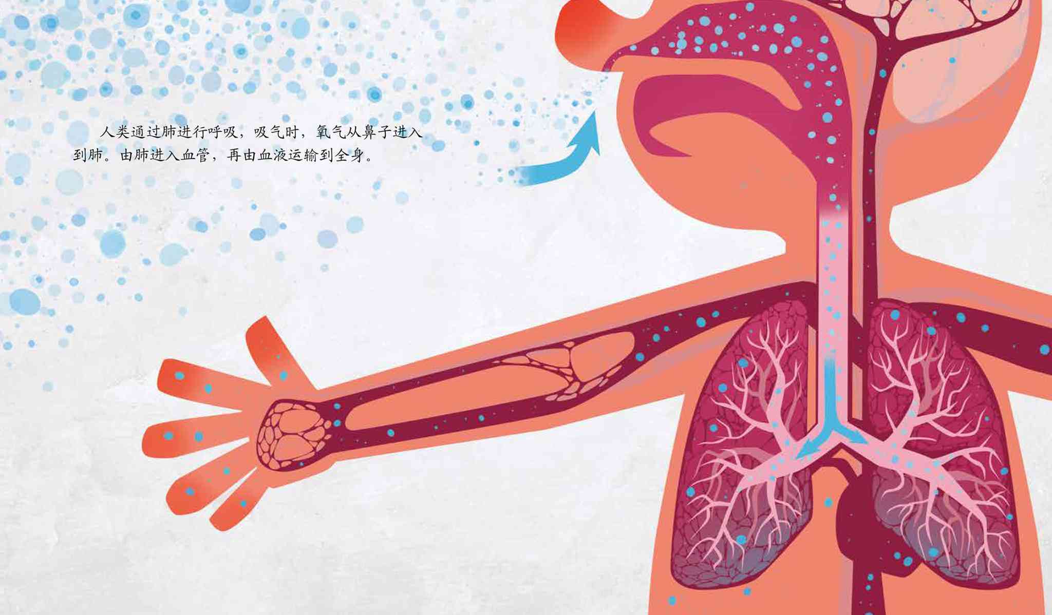 儿童绘本故事推荐《神奇的呼吸》_辅导