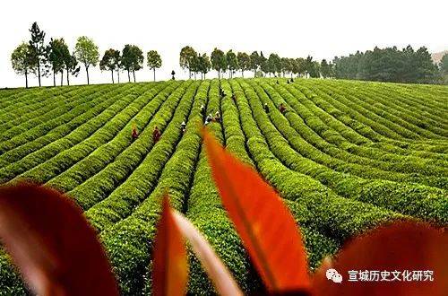 我的十字铺我的家