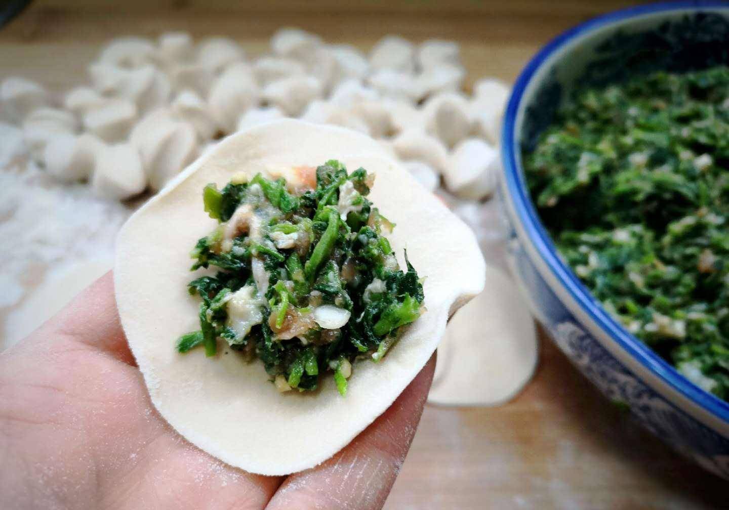 这菜是个宝,半个月就老了,包饺子最好吃,清香多汁又营养!_苜蓿