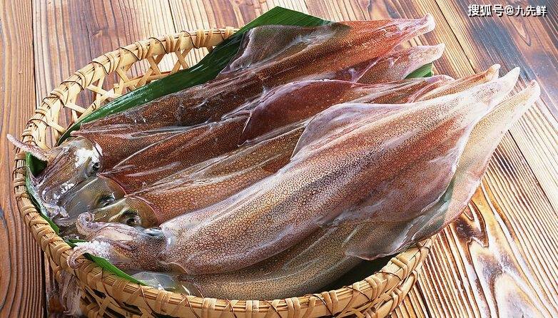 不良商贩用福尔马林泡鱿鱼?新鲜鱿鱼如何鉴别_东山岛