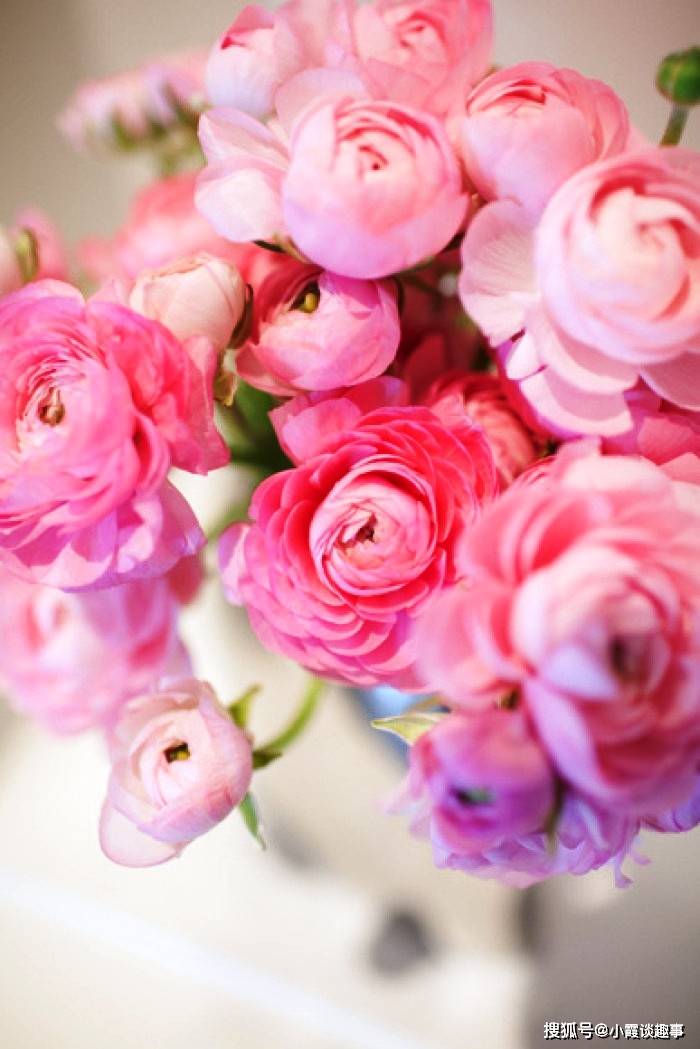 原创耐人寻味的精湛语句意境深远含义深刻