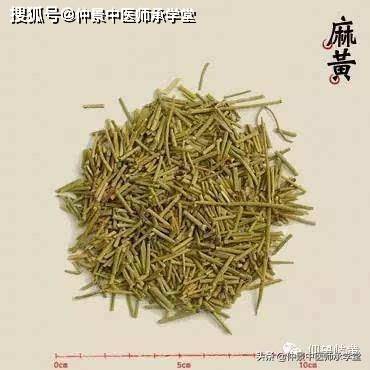 跨進中醫之門,中藥學—麻黃,巧用麻黃治療牛皮癬.