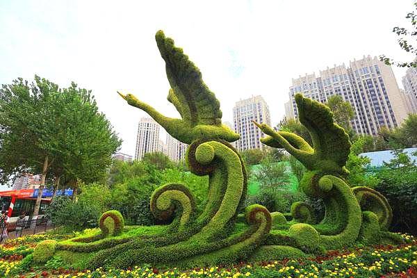 绿雕景观的施工都有哪些注意事项