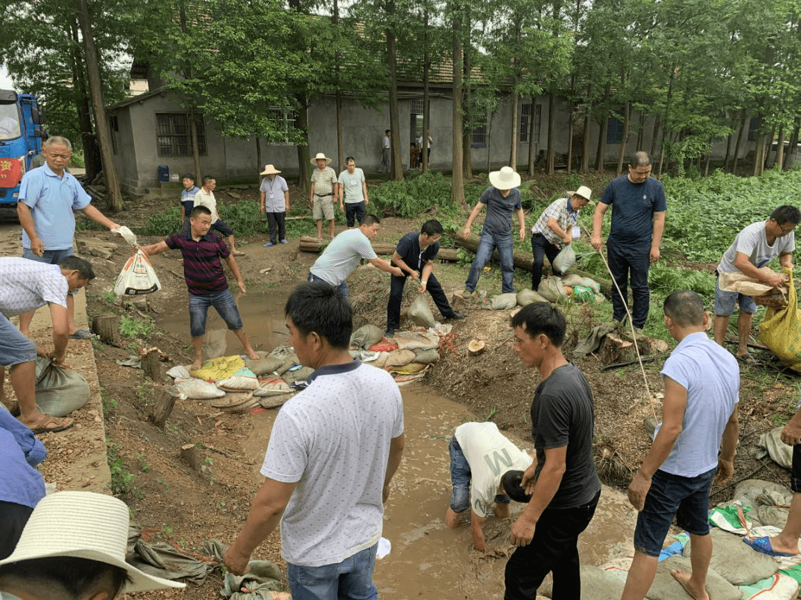 闻险出击华容县北景港镇成功围堵管涌险情