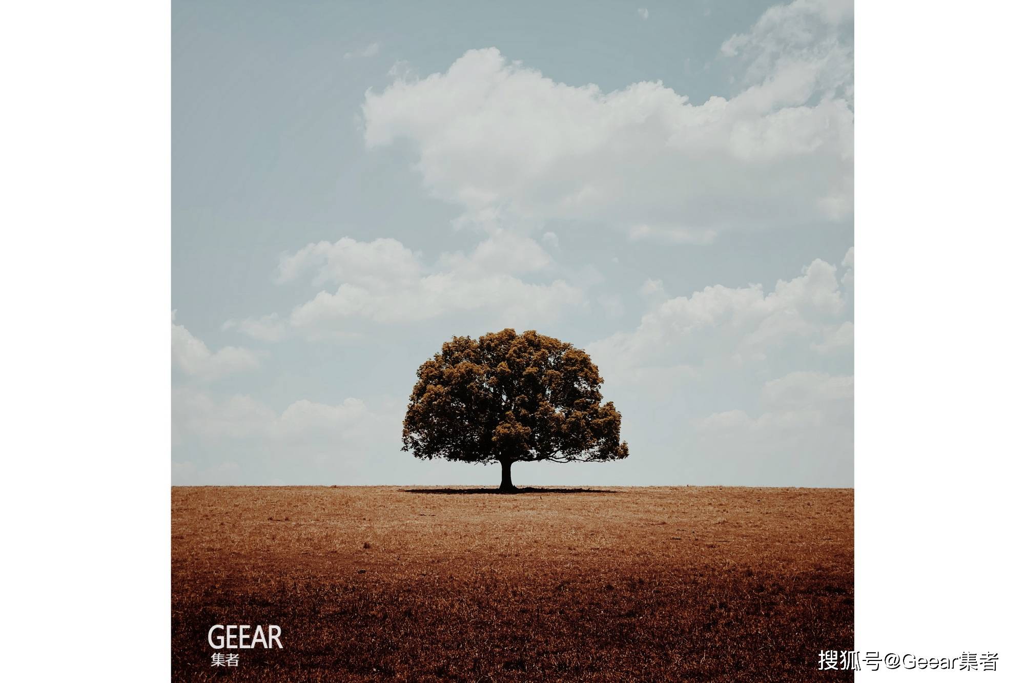 2020年iphone摄影大赛优秀作品!