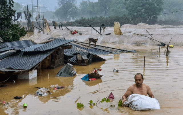 2020是艰难的一年,抗疫 抗洪,但都挡不住这些可爱的身影