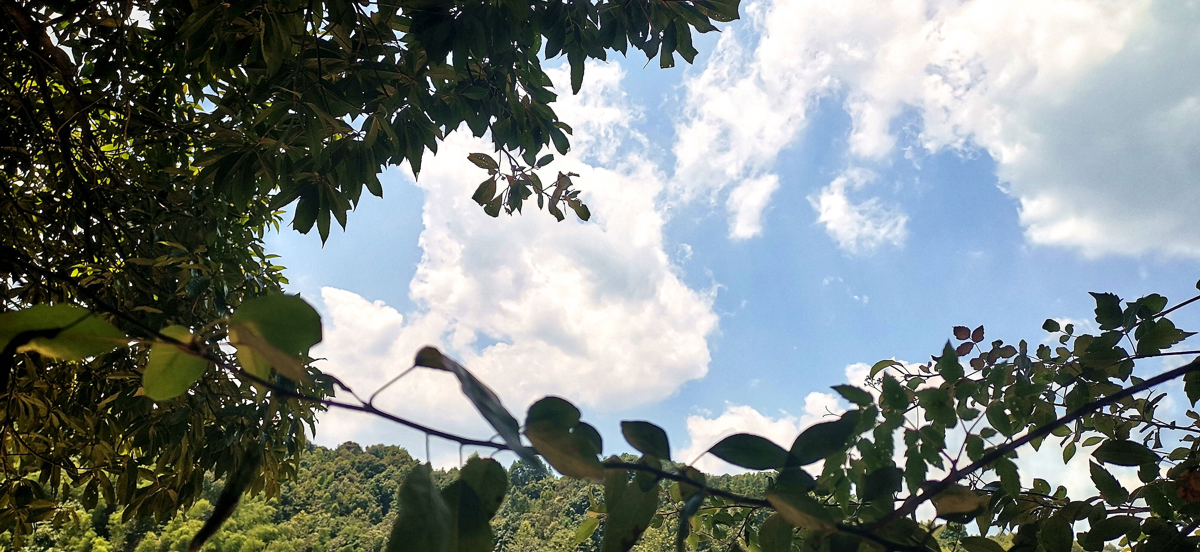 7月22日,天氣晴朗.走進泰和縣上圯鄉北坑村,美麗風光令人驚歎.