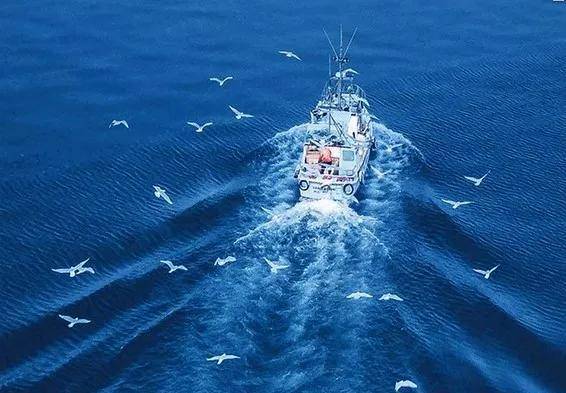 高考结束了,但故事却记一辈子:每次乘风破浪,都有爱保驾护航