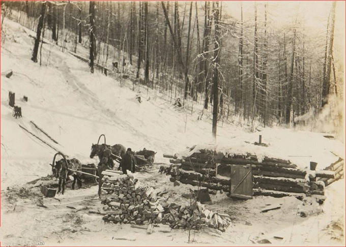 民国初的老东北,冰天雪地环境恶劣,人们生活艰难-搜狐大视野-搜狐新闻