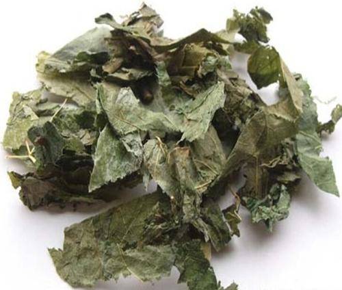 藿苷素对关节软骨再生与修复有促进作用,同时能结合体内水分子润滑