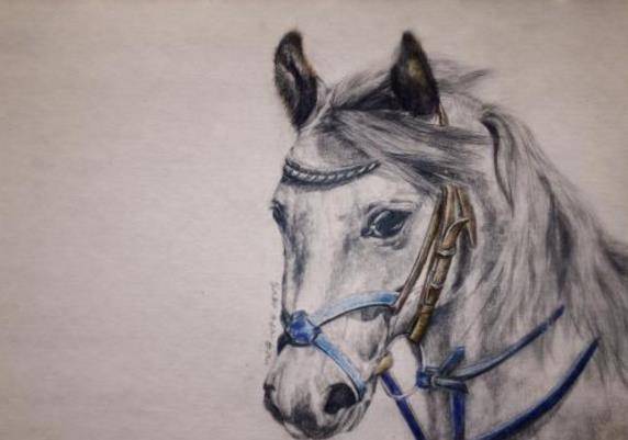 刘备的坐骑,十大名骏之一的"的卢"真的是"绝世凶马"吗?