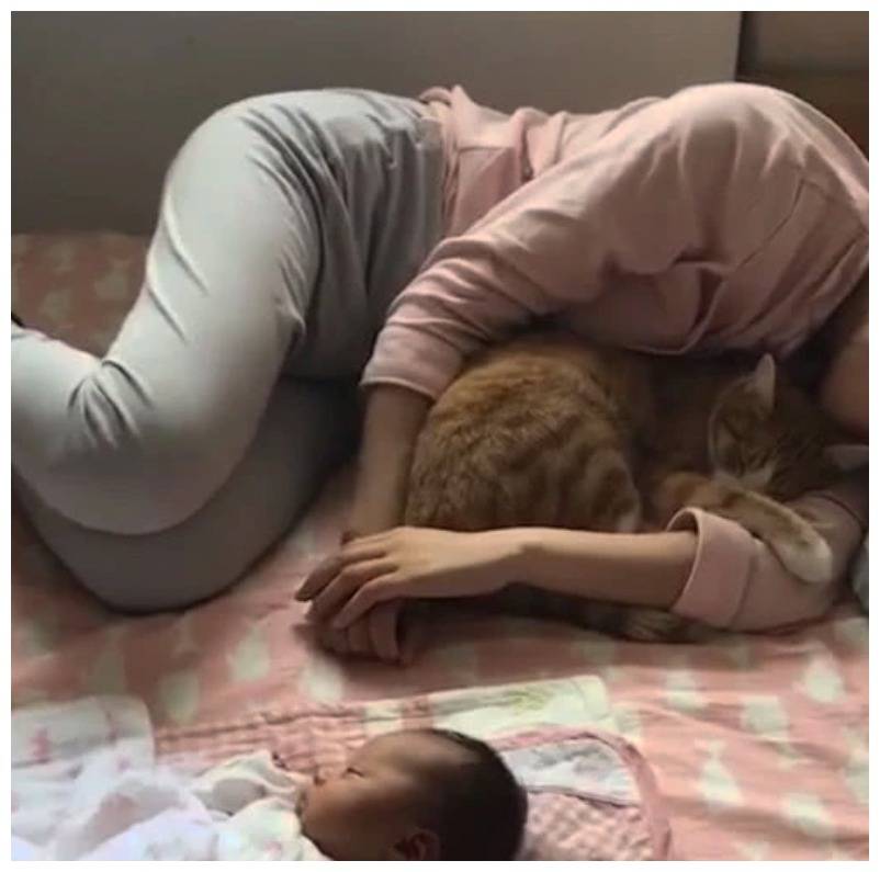 辣妈抱着橘猫午睡,孩子被晾在一边,网友:亲妈无疑