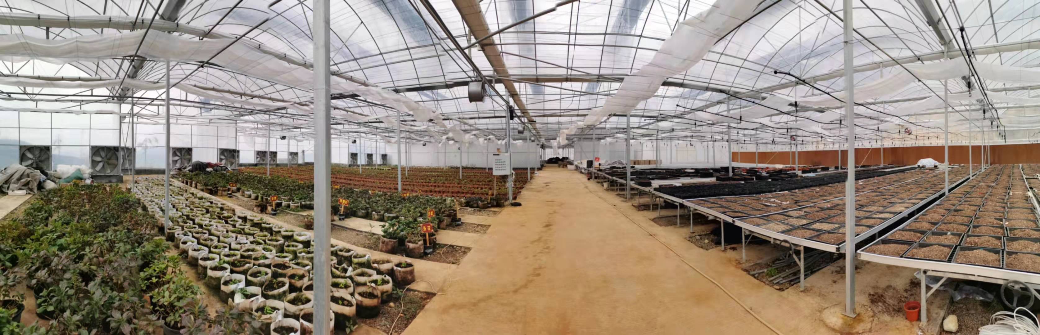 乌鲁木齐花卉基地在哪