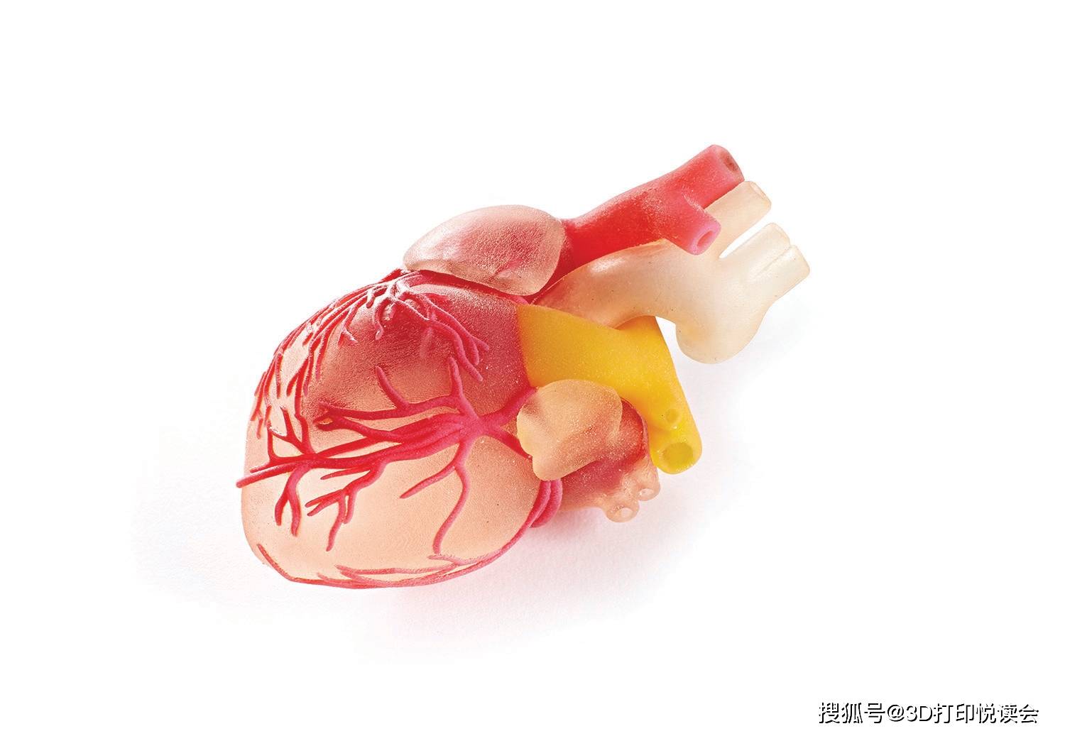 全彩3d打印机医疗解剖模型制作