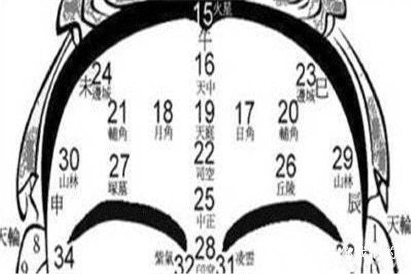 从面相看命运:一生运势看三庭,上庭看早年,下庭看晚年,准到哭_中庭