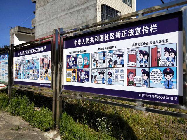 普法有力度 阳新县积极开展《社区矫正法》学习活动_宣传