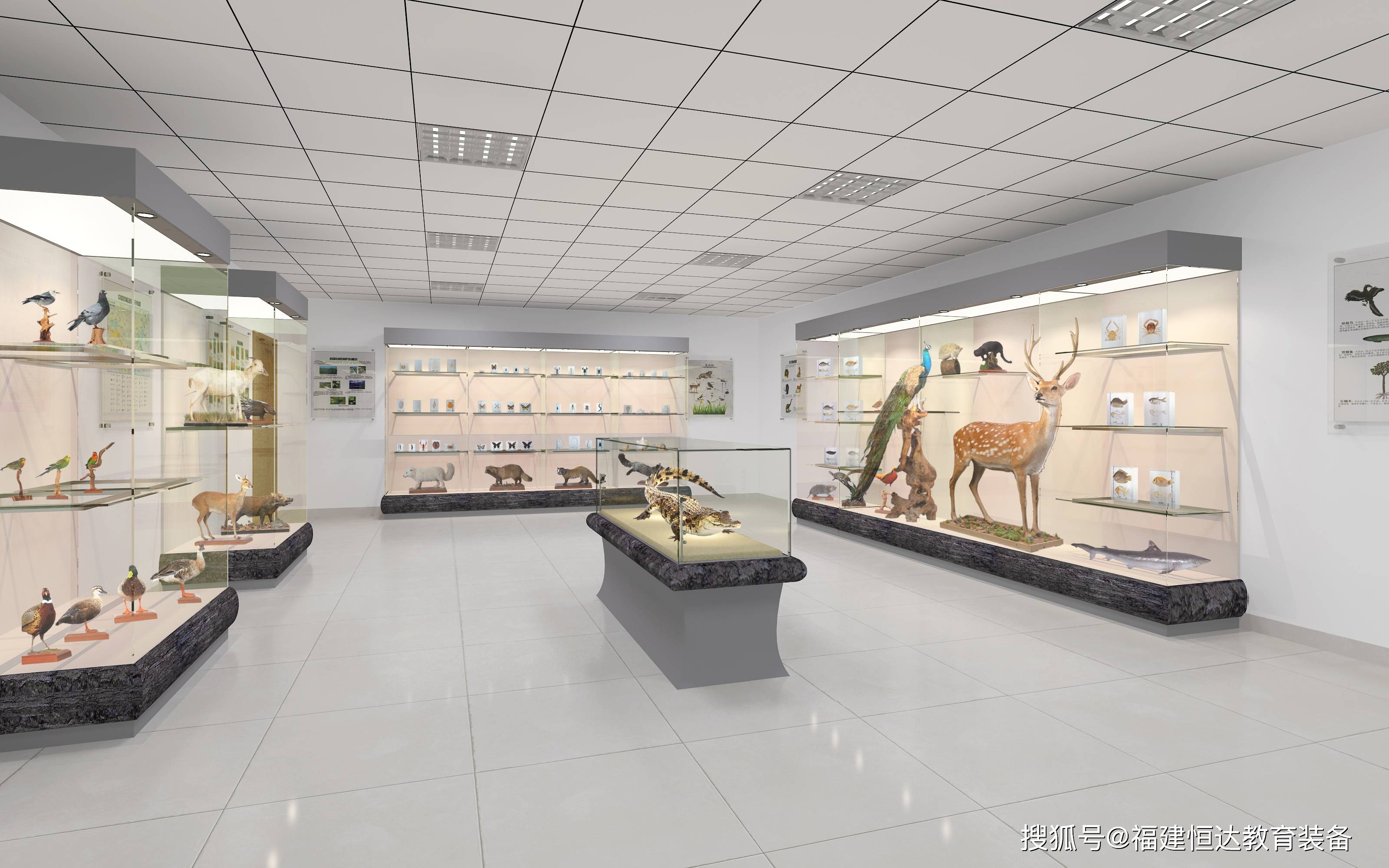 每个学校,都应该拥有这样一座神秘的宝库!_标本馆