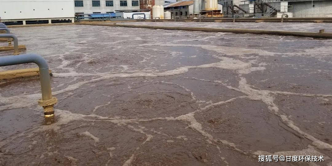 废水cod超标现场分析案例