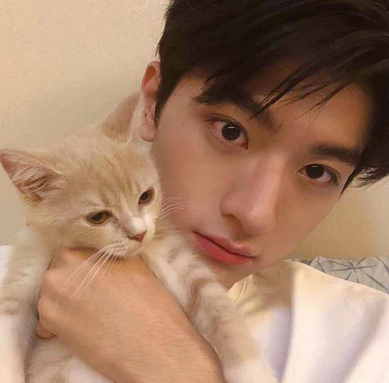 林一深夜空降粉丝群,谁注意他使用的头像?暴露了私下性格