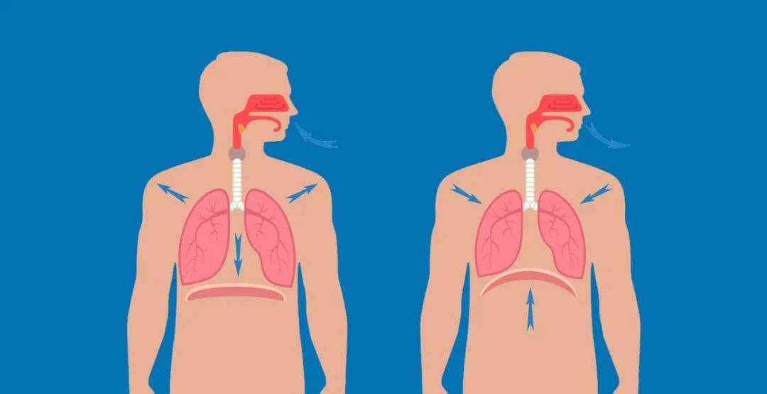 气短是短在哪里呼吸科医生推荐两个养肺动作