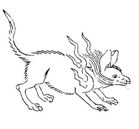 古文:"有兽焉,其状如鼠,而菟首麋身,其音如獆犬,以其尾飞,名曰耳鼠,食
