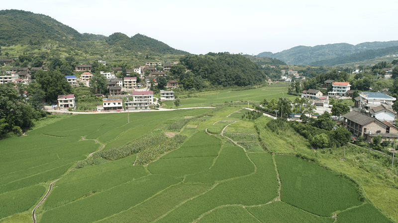 新化|扶贫扶志 榜样力量｜张梦雄：年近花甲不忘伏枥之志，不毛之地变绿水青