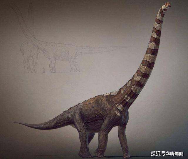 原创盘点世界上体型最大的十大恐龙,每一种都比七层楼房还要高大