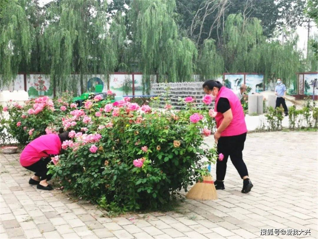 难忘的高温还有火热的创城迎检工作为全面迎检采育镇妇联带领妇联干部