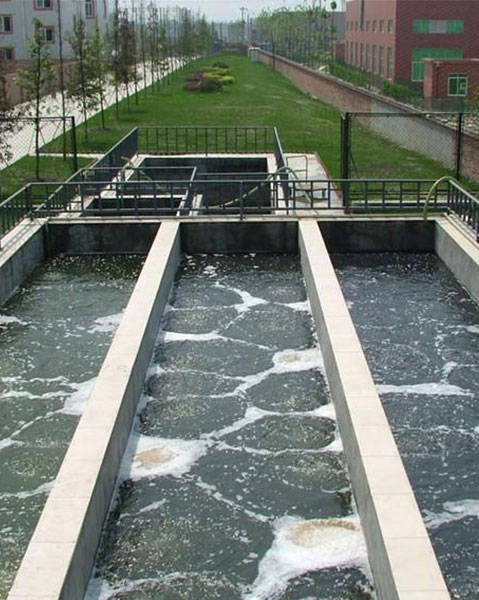 原来每天生活污泥这么多市政污泥的处置关乎老百姓生活质量呀