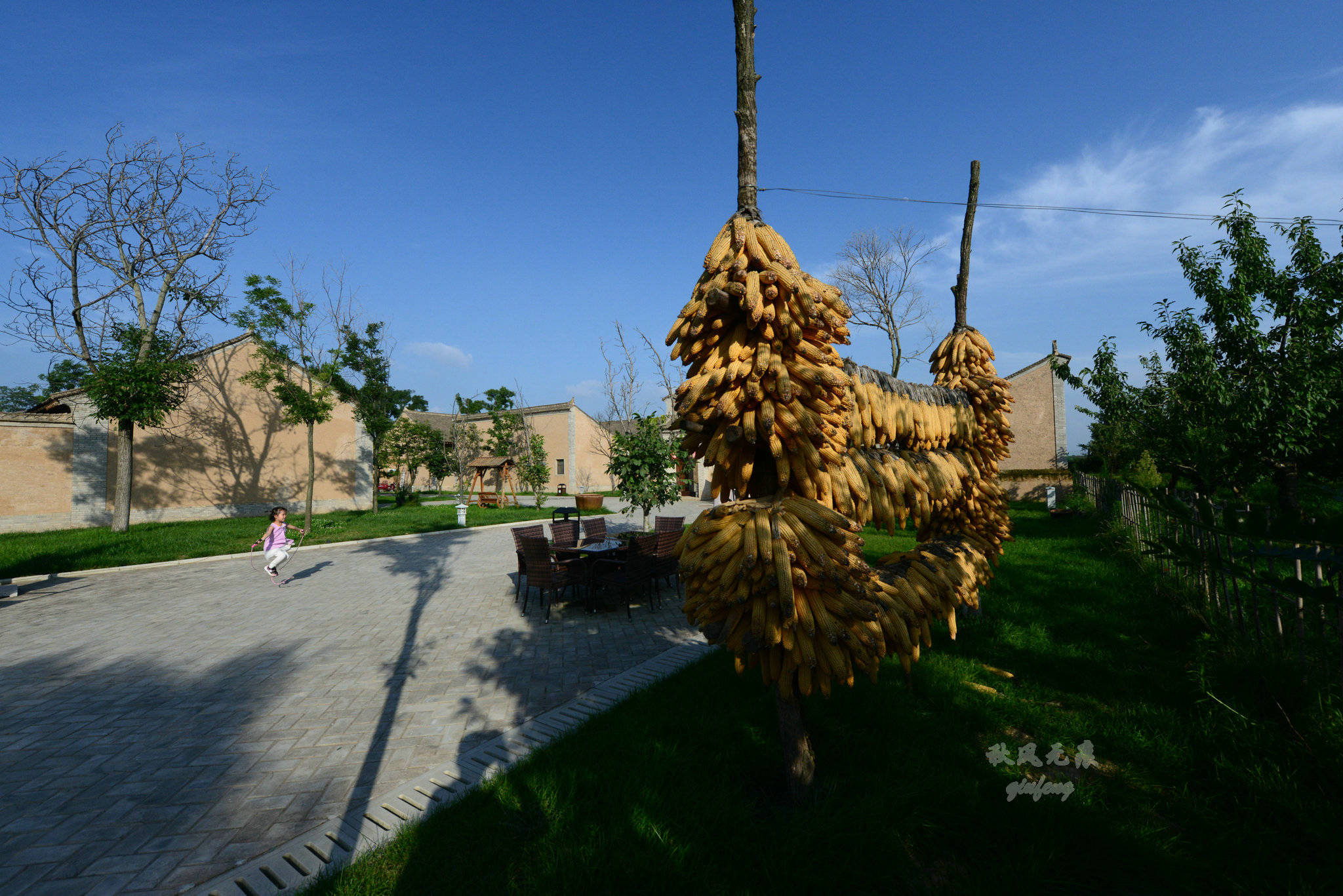 原创去黄土高天的旬邑塬上,寻找乡舍里的悠然与静心