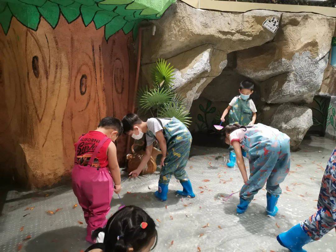 2300㎡华南首家室内动物乐园,数百只萌宠空降!