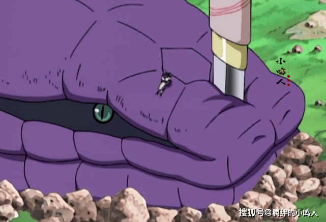 中,通灵兽的地位丝毫不亚于一个村子的顶尖上忍,除了蛞蝓对纲手较为