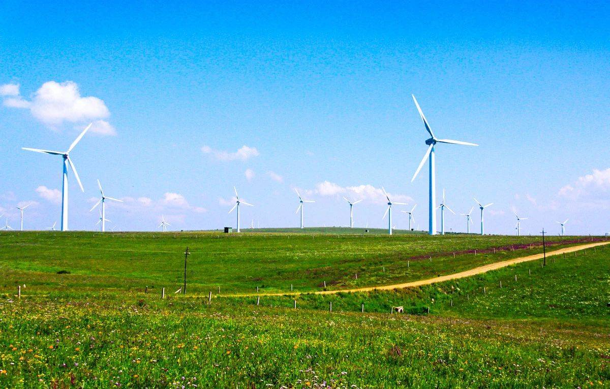 图源丨zol论坛 zfzzm 数以万计的白色大风车矗立在碧绿的草地上,与
