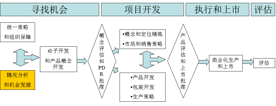 某国际大型食品公司新产品开发流程内部汇报版