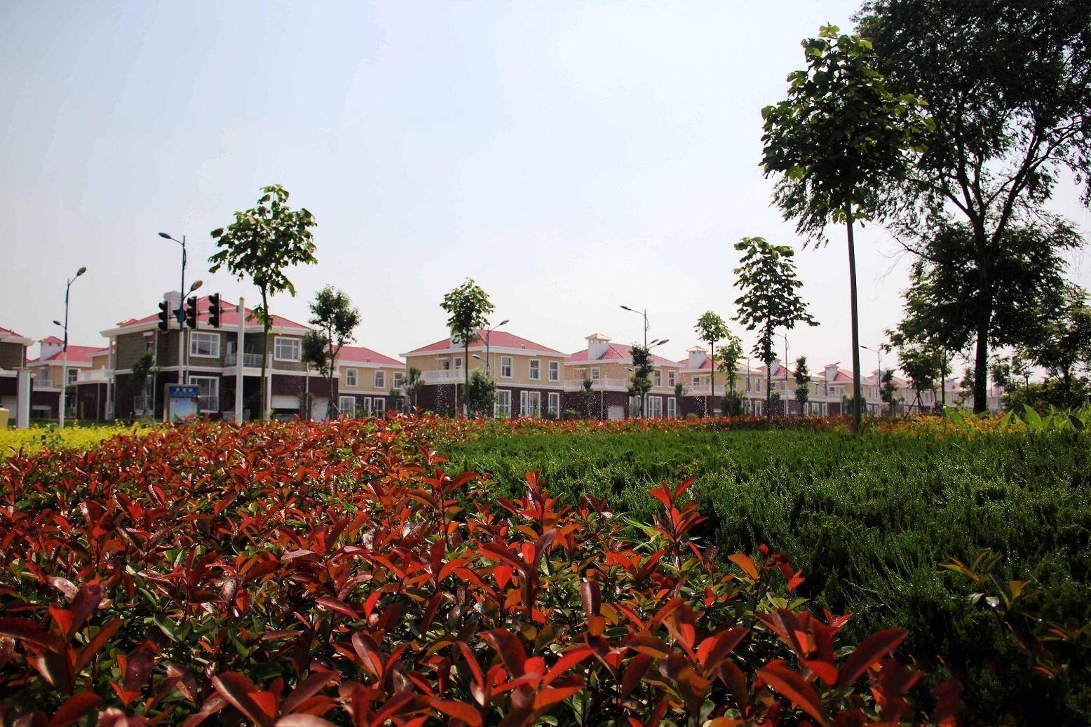 这处村子在山东的临沂市罗庄区,是临沂很引以为傲的一处名村,它是临沂