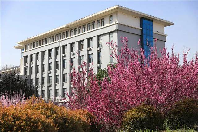 豫61高考育材三四载即成栋梁姿这里是郑州财经学院